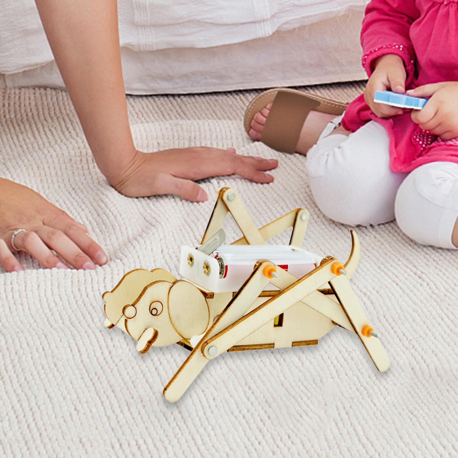 Kit de Ciência DIY: Cão Mecâni - Science Project Toys Making avaliação e preço